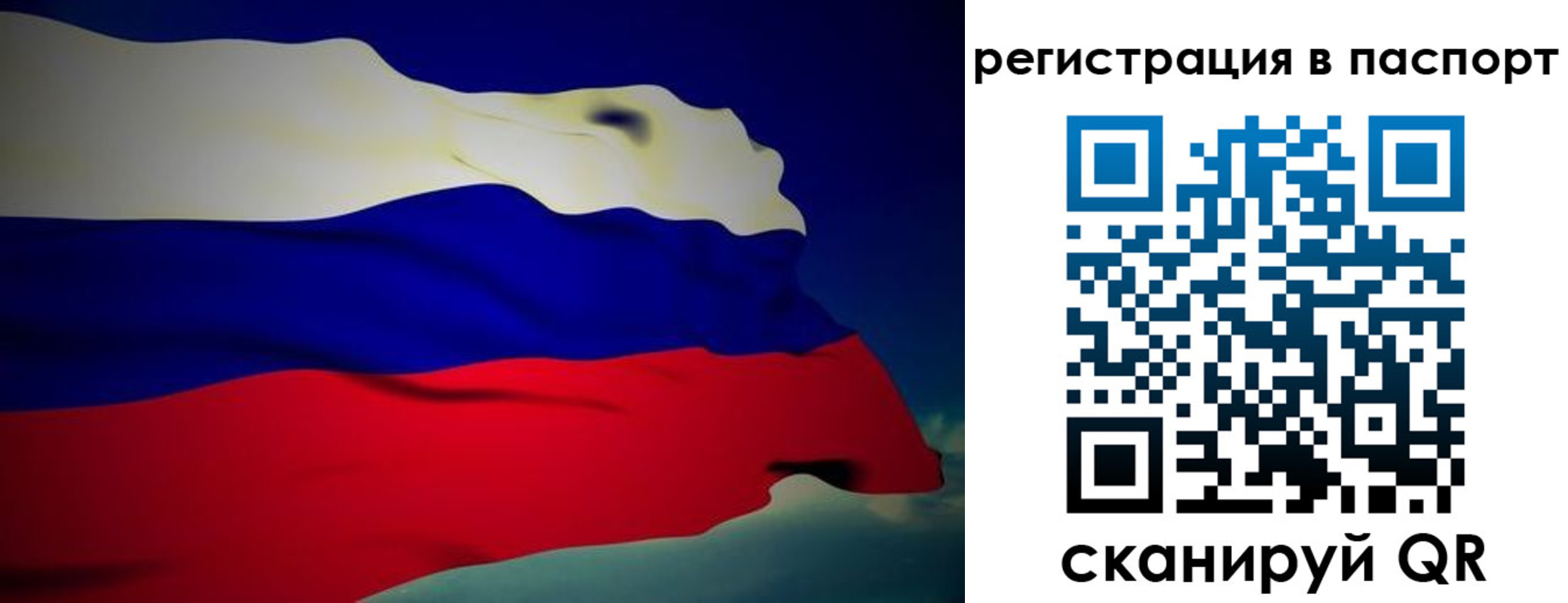 прописка законно в Мурманске